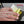 Load and play video in Gallery viewer, TPK - Tactical Pocket Klipboard